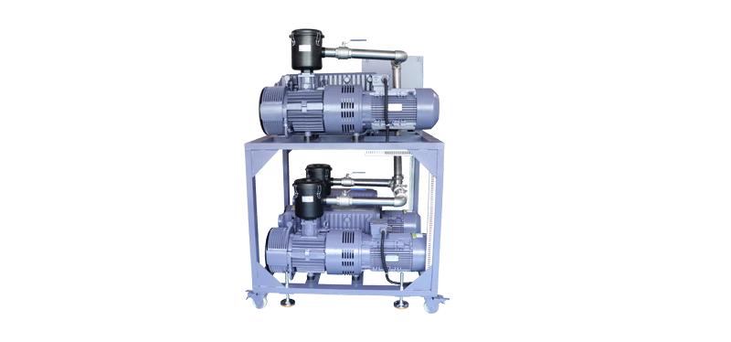 Screw vacuum system